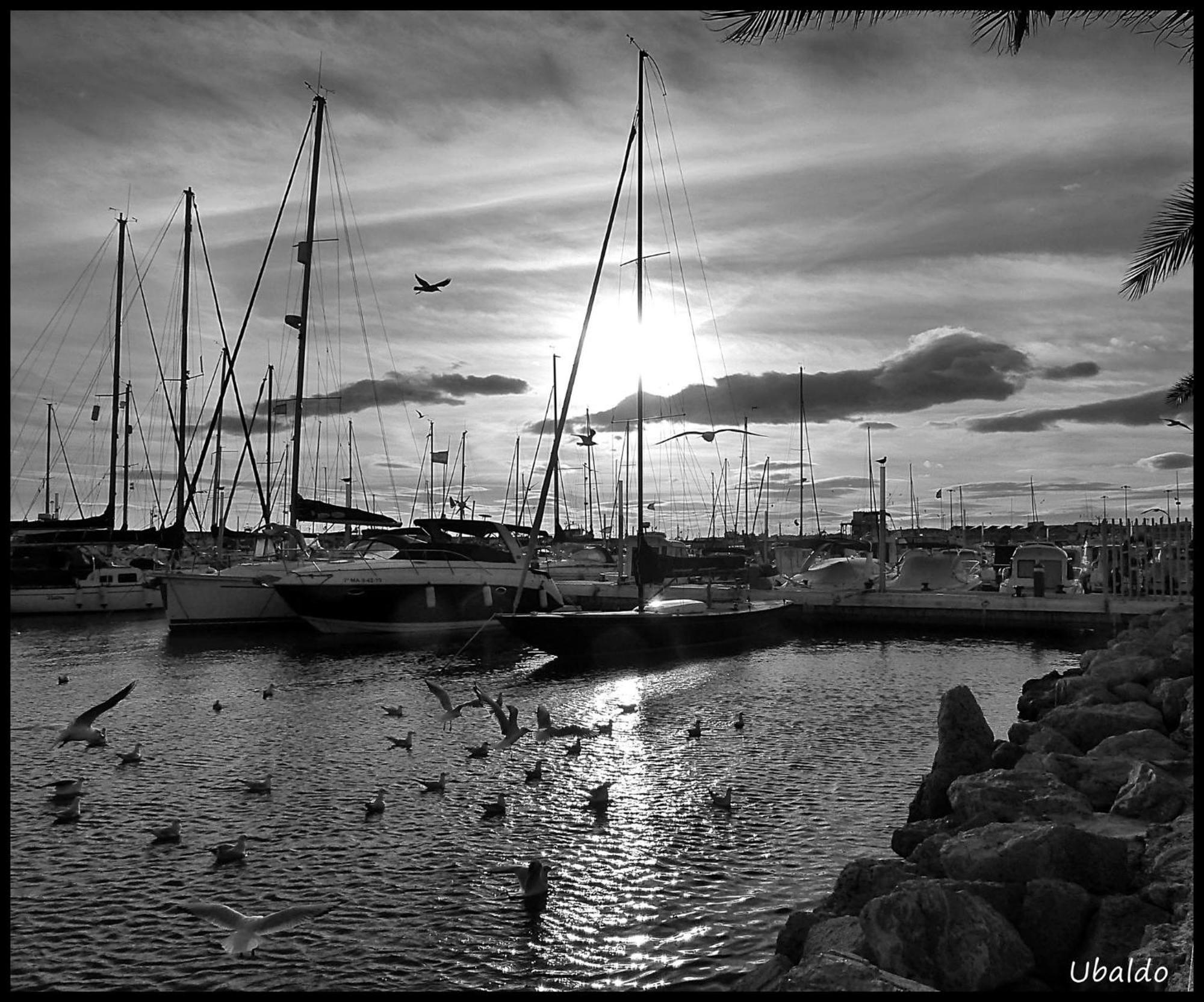 Willa Brisas Del Mar Caleta De Velez Zewnętrze zdjęcie